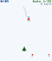 Snow Slalom gameplay